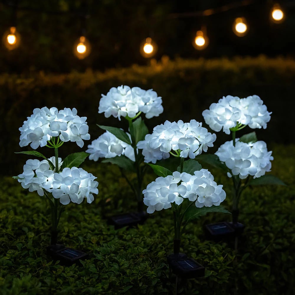 Fairy Hydrangea Lights💋