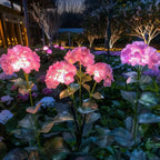 Fairy Hydrangea Lights💋
