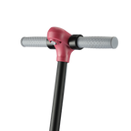 S4 Kid's Electric Scooter 110W Motor 24V 2.5Ah Battery💋